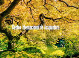 Acutherapy Acupuntura Alicante thumb 7